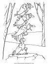 animales/pajaros/uccelli_249.JPG