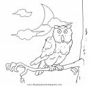 animales/pajaros/uccelli_254.JPG