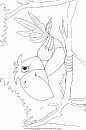 animales/pajaros/uccelli_272.JPG