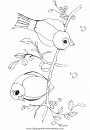 animales/pajaros/uccelli_276.JPG