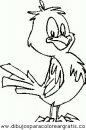 animales/pajaros/uccelli_277.JPG