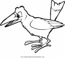 animales/pajaros/urraca.JPG