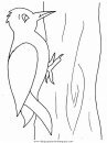 animales/pajaros/woodpecker.JPG