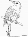 animales/pajaros/yellowhammer.JPG
