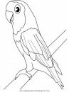 animales/papagayos/papagayos09.JPG