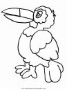 animales/papagayos/tucanes_1.JPG