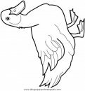 animales/patos/patos_01.JPG
