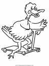 animales/patos/patos_04.JPG