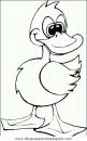 animales/patos/patos_11.JPG