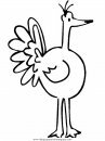 animales/pavos/pavos_06.JPG