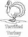 animales/pavos/pavos_10.JPG