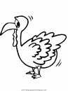 animales/pavos/pavos_12.JPG