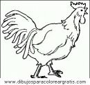 animales/pavos/pavos_24.JPG