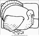 animales/pavos/pavos_30.JPG