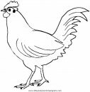 animales/pavos/pavos_31.JPG