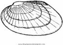animales/peces/machas_6_6.JPG