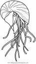 animales/peces/medusas_1.JPG