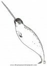 animales/peces/peces_001.JPG