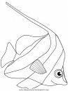 animales/peces/peces_002.JPG