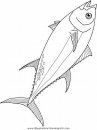 animales/peces/peces_008.JPG