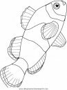 animales/peces/peces_011.JPG