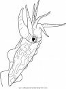 animales/peces/peces_015.JPG