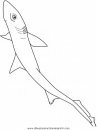 animales/peces/peces_016.JPG