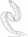 animales/peces/peces_017.JPG