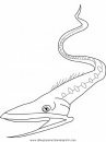 animales/peces/peces_019.JPG