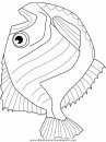 animales/peces/peces_020.JPG
