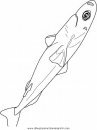 animales/peces/peces_036.JPG