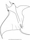 animales/peces/peces_037.JPG