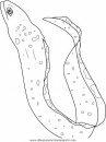 animales/peces/peces_038.JPG