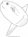 animales/peces/peces_041.JPG