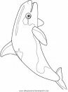 animales/peces/peces_042.JPG