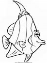 animales/peces/peces_048.JPG