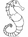 animales/peces/peces_058.JPG