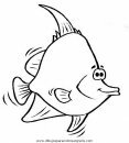 animales/peces/peces_059.JPG