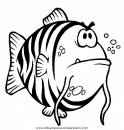 animales/peces/peces_064.JPG
