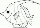 animales/peces/peces_066.JPG