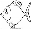 animales/peces/peces_090.JPG