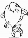 animales/peces/peces_098.JPG