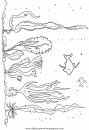 animales/peces/peces_100.JPG