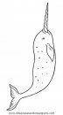 animales/peces/peces_102.JPG