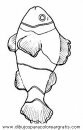 animales/peces/peces_104.JPG