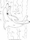 animales/peces/peces_108.JPG