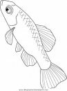 animales/peces/peces_128.JPG