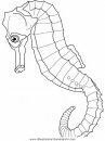 animales/peces/peces_138.JPG