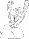 animales/peces/peces_140.JPG