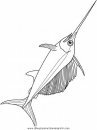 animales/peces/peces_144.JPG